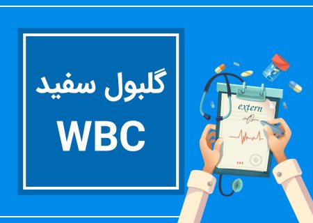 آزمایش WBC؛ راهنمای خواندن برگه آزمایش و تفسیر