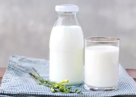 رژیم شیر چیست؟ آیا این روش برای لاغری موثر است؟